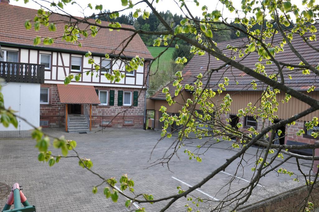 Ferienwohnungen Zur Muehle Mossautal Exteriér fotografie