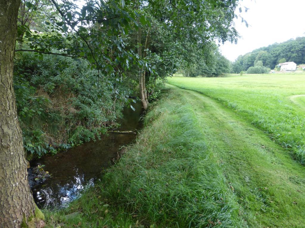 Ferienwohnungen Zur Muehle Mossautal Exteriér fotografie