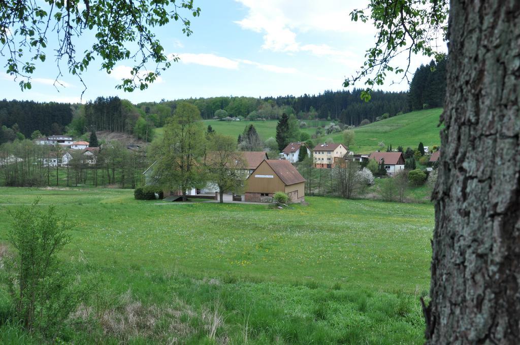 Ferienwohnungen Zur Muehle Mossautal Exteriér fotografie