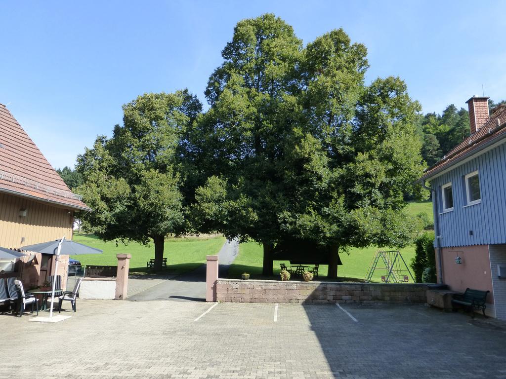 Ferienwohnungen Zur Muehle Mossautal Exteriér fotografie